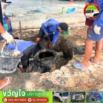 รับติดตั้งถังแซท หนองแขม - รับดูดส้วม รับแก้ไขท่อตัน - ขวัญใจ