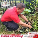 บริษัทกำจัดปลวก ใกล้ฉัน