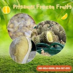 โรงงานผลิตเนื้อทุเรียนแช่แข็ง - โรงงานผลิตผลไม้แช่แข็ง - พิศมัย ผลไม้แช่แข็ง