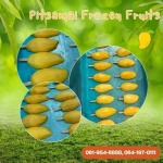 โรงงานผลิตมะม่วงแช่แข็งเสียบไม้