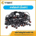 สายไฟระย้า (ขั้วเปล่า) พระราม 2