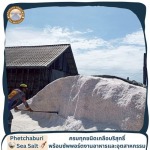 ผลิตและขายส่งเกลือทะเลแท้ ราคาถูก - เกลือทะเลเพชรบุรี