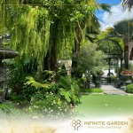 รับออกแบบจัดสวน - รับออกแบบจัดสวน - infinitegarden
