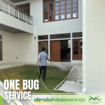 กำจัดปลวกและแมลง นนทบุรี
