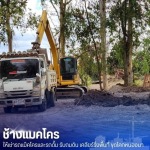 รถแบคโฮให้เช่า รายวัน