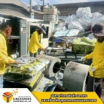 บริการรับกำจัดขยะโรงงาน