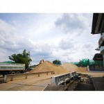 Sand top, Pathum Thani - ท่าทราย ปทุมธานี - คุนกี่พาณิชย์