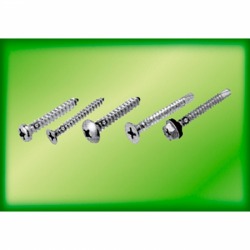 Screw Screw