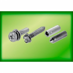 Screw head