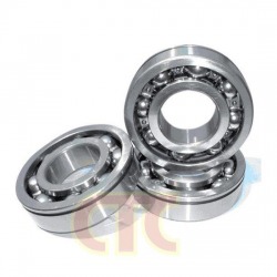 Bearing Sus
