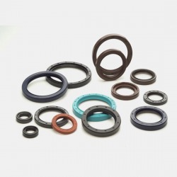 ซีลกันน้ำมัน / Oil seal