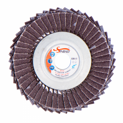 Flexible flap disc