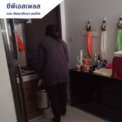 รับกำจัดปลวกขึ้นคอนโด