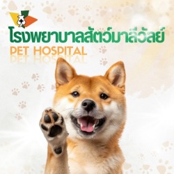 โรงพยาบาลสัตว์ย่านคลองสอง