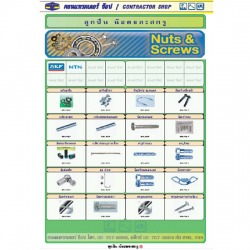 ลูกปืน - น๊อตและสกรู / Nuts & Screws