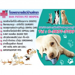 โรงพยาบาลสัตว์พัทยา