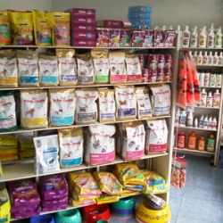 โรงพยาบาลสัตว์