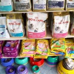 โรงพยาบาลสัตว์