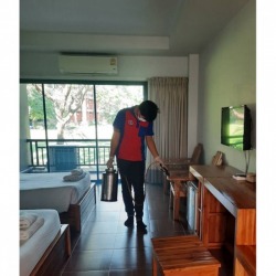 กำจัดปลวก นิวคัมเมอร์ เซอร์วิส