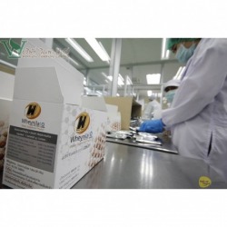 รับผลิตเวย์โปรตีน Whey Protein
