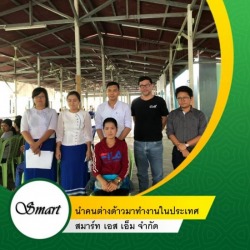 บริการจัดการด้านแรงงานต่างด้าว