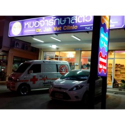 รักษาสัตว์