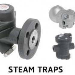 Steam Traps
