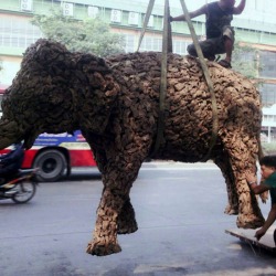 บริการขนส่ง