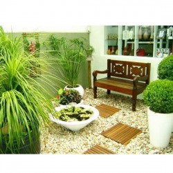 จัดสวน