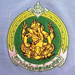 รับปักเสื้อตามแบบ พิษณุโลก