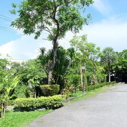 ที่พักชลบุรี