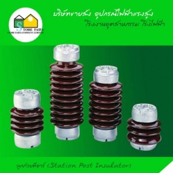 Station Post Insulator