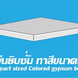 แผ่นยิปซั่มทาสี