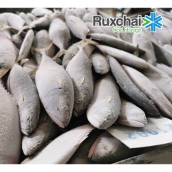 บริการรับจ้างฟรีสของสด สมุทรสาคร 