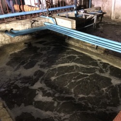 งานปรับปรุงระบบเติมอากาศในน้ำแบบ Activated Sludge Process (AS)