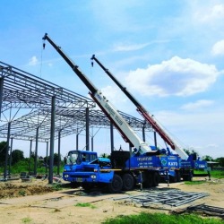 Rental cranes