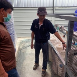 Wastewater treatment system in food industry plants