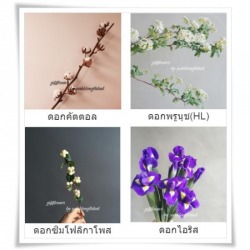 ดอกไม้สด ปากคลองตลาด