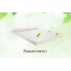 ที่นอนยางพารา