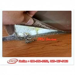 บริษัทรับกำจัดปลวกนนทบุรี ราคา