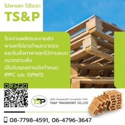 ขายส่งพาเลทไม้ ราคาถูก