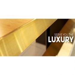 gold stainless steel eyebrows