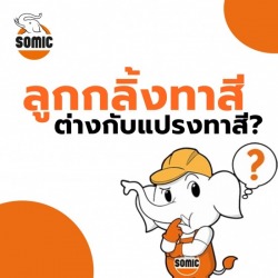 ลูกกลิ้งทาสีต่างกับแปรงทาสี