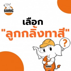 เลือกลูกกลิ้งทาสี