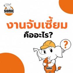 งานจับเซี้ยม คืออะไร