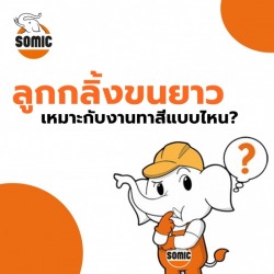 ลูกกลิ้งขนยาว เหมาะกับงานทาสีแบบไหน