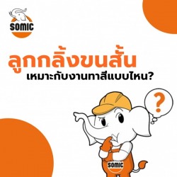 ลูกกลิ้งขนสั้น เหมาะกับงานทาสีแบบไหน