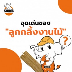ลูกกลิ้งงานไม้ ลูกกลิ้งทาไม้ Wood Roll