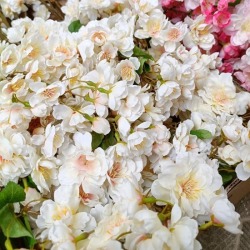 ดอกซากุระปลอม