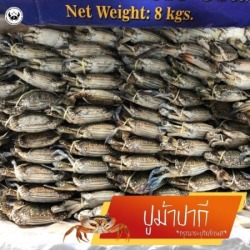 ปูม้าแช่แข็งราคาส่ง